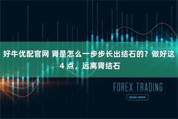 好牛优配官网 肾是怎么一步步长出结石的？做好这 4 点，远离肾结石