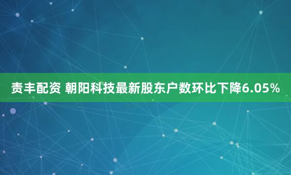 责丰配资 朝阳科技最新股东户数环比下降6.05%
