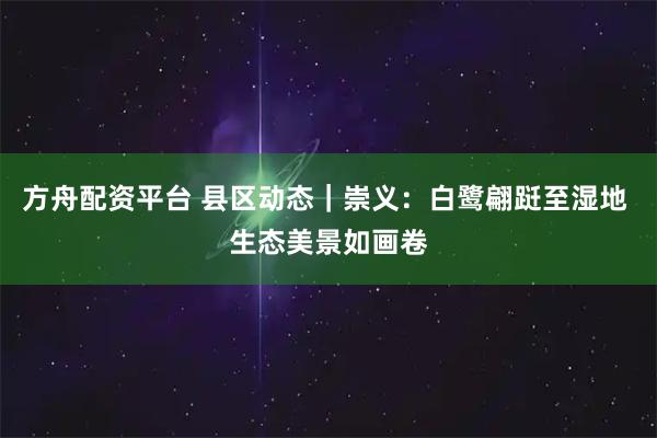 方舟配资平台 县区动态｜崇义：白鹭翩跹至湿地 生态美景如画卷