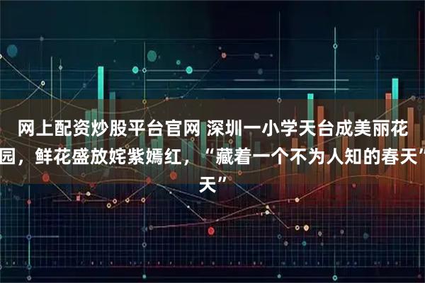 网上配资炒股平台官网 深圳一小学天台成美丽花园，鲜花盛放姹紫嫣红，“藏着一个不为人知的春天”