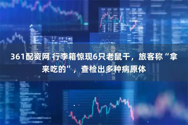 361配资网 行李箱惊现6只老鼠干，旅客称“拿来吃的”，查检出多种病原体