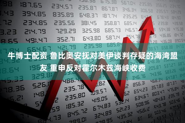 牛博士配资 鲁比奥安抚对美伊谈判存疑的海湾盟友 重申反对霍尔木兹海峡收费